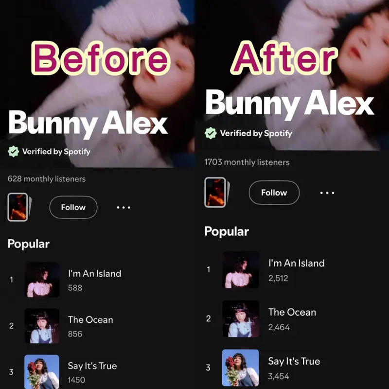 Before and after Spotify profile for Bunny Alex showing monthly listeners rising from 628 to 1,703